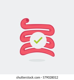 Small intestine vector illustration