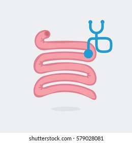 Small intestine vector illustration