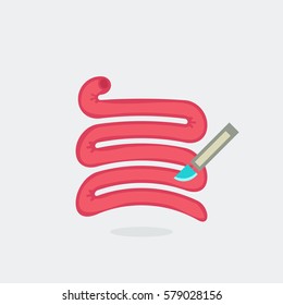 Small intestine vector illustration
