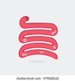 Small intestine vector illustration
