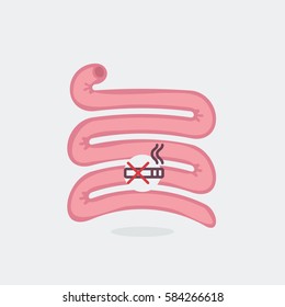 Small intestine vector illustration