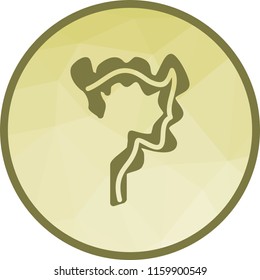 Small, intestines, health