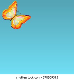 Small isolated bright tropical butterfly in the corner of the picture on a blue background.