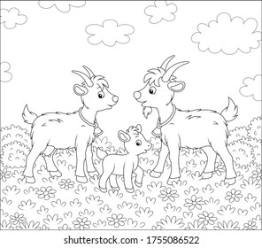 Small kid with a nanny goat and a he-goat walking on fresh grass of a pretty summer field with wildflowers on a wonderful warm day, black and white outline vector cartoon illustration