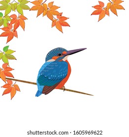 small kingfisher with blue feathers.