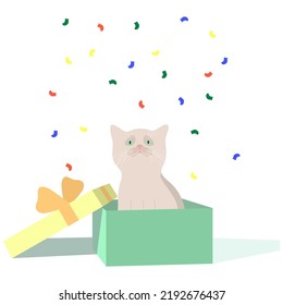 small kitten sits in a box and looks at multi-colored confetti