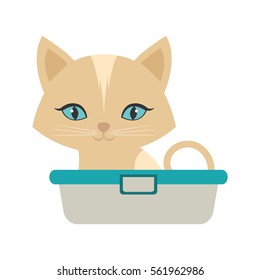 small kitten sitting blue eyes bathtub vector illustration eps 10