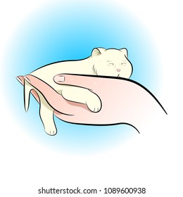 a small kitten sleeping on the hands of