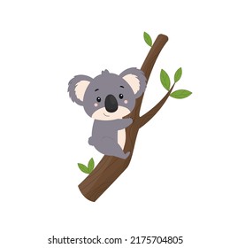 A small koala lies on a eucalyptus branch. Vector illustration