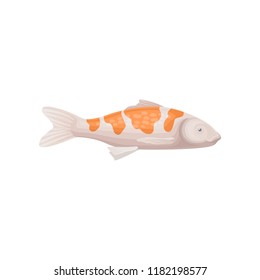 Small koi fish with bright orange spots. Sea creature. Marine animal. Flat vector for advertising poster or banner