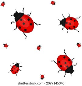 Small ladybugs, illustration, vector on a white background.