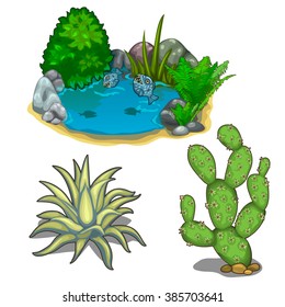 A small lake with fish, agave and prickly pear cactus. Plants and water for landscaping. Vector illustration.