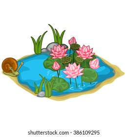 A small lake with pink water Lily and the snail. Landscape design. Vector illustration.