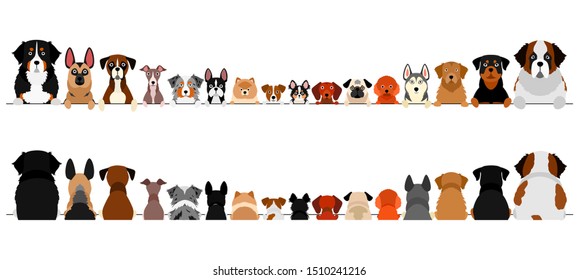 small and large dogs border set, upper body, front and back