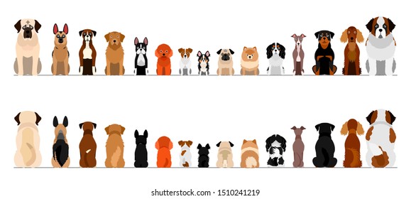 small and large dogs border border set, full length, front and back