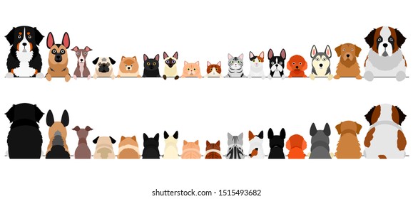 small and large dogs and cats border set, upper body, front and back