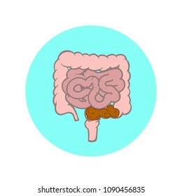 Small and large intestines. Constipation vector illustration.