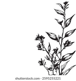 Small leaf plant silhouette pattern wallpaper. Black and white. minimal artwork. simple template. tattoo design. card and package. Vector illustration.