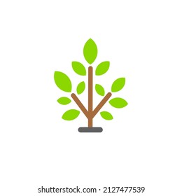 Small, leafy green seedling on the ground. Young tree or shrub. Vector flat color icon isolated on white.