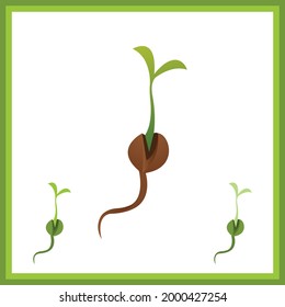 Small, leafy green seedlings on the ground. Vector drawing illustration.