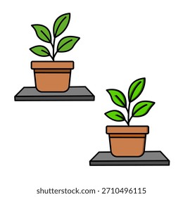 Pequena Planta Folhosa na Prateleira