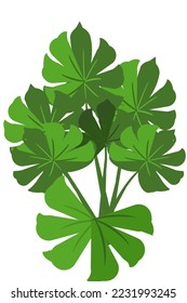 Small leafy tree, green leaves, refreshing