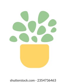 Small leaves decorative house plant semi flat colour vector object. Editable cartoon clip art icon on white background. Simple spot illustration for web graphic design