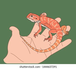 A small lizard resting on the palm of your hand. hand drawn style vector design illustrations. 