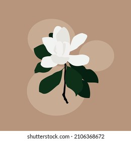 
Small magnolia gemstone. Variety of dwarf magnolias Grandiflora. Also called Evergreen, Bull Bay, Laurel and Loblolly. background .postcard