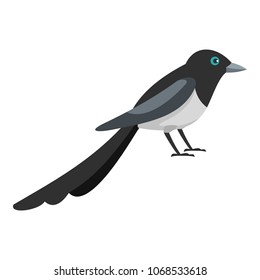 Small magpie icon. Flat illustration of small magpie vector icon for web