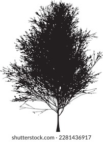 small maple tree vector silhouette
