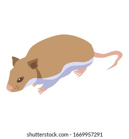 Small mice icon. Isometric of small mice vector icon for web design isolated on white background