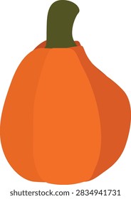 Small Mini Orange Pumpkin Vector Illustration Isolated on White