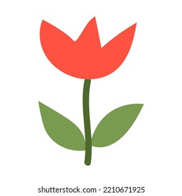 Small minimalistic tulip on a white background.