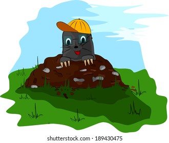 A small mole with cap and glass on the meadow molehill