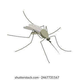 Pequeño mosquito. Ilustración en estilo plano, simple, de dibujos animados