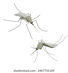 Pequeño mosquito. Ilustración en estilo plano, simple, de dibujos animados