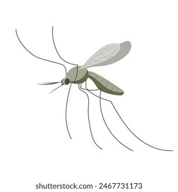 Pequeño mosquito. Ilustración en estilo plano, simple, de dibujos animados