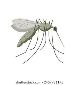 Pequeño mosquito. Ilustración en estilo plano, simple, de dibujos animados