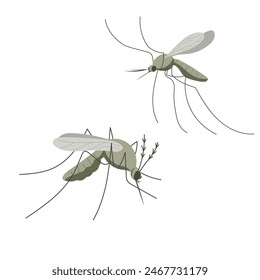 Pequeño mosquito. Ilustración en estilo plano, simple, de dibujos animados