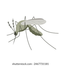 Kleines Mückeninsekt. Illustration im flachen, einfachen Cartoon-Stil
