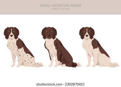 Small Munsterlander coat colors, different poses clipart.  Vector illustration