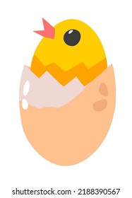 Small newborn chicken farm animal sitting in eggshell. Isolated funny chick chirping. Emoticon or emoji, cute personage in egg. Growing pet for agricultural purposes, easter symbol. Vector in flat 