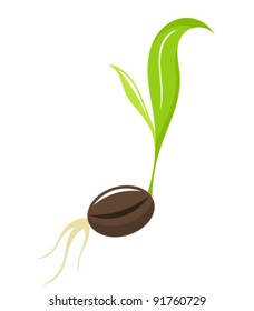 Small newborn plant - seedling. Vector illustration