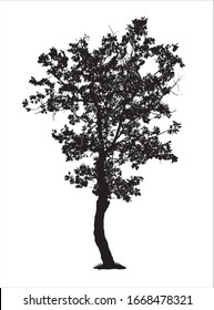 Small oak tree silhouette, vector illustration isolated on white