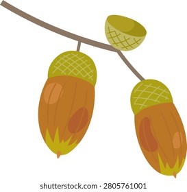Small oak twig with two brown acorns