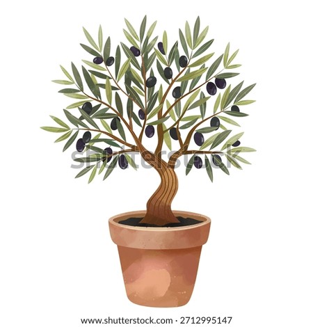 A small olive tree in a pot. Watercolor illustration with delicate leaves and olives. Isolated on white background.