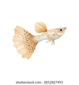 Small orange aquarium fish with spots