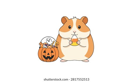 Small orange  