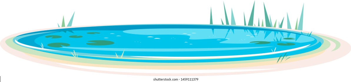 Small oval blue decorative pond with bulrush plants isolated, lake plants nature landscape fishing place